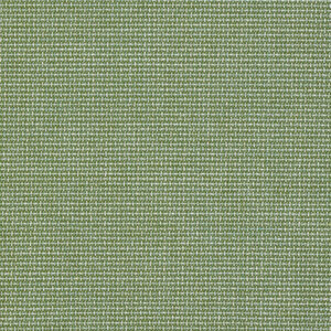 Sunbrella Bliss Aloe