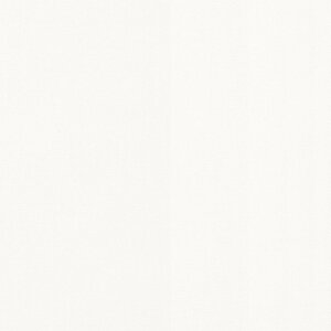 Sunbrella Canvas White