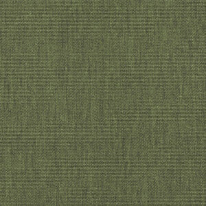 Sunbrella Canvas Fern