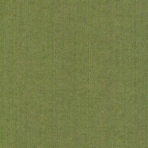 Sunbrella Spectrum Cilantro