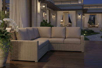 5306 Sydney Night - Cat